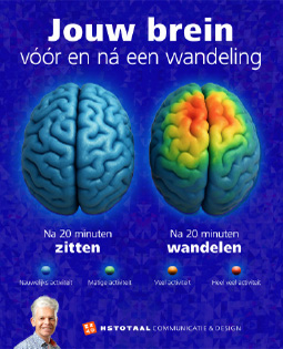 HSTotaal LinkedIn-visual: twee hersenscans op blauwe achtergrond; de rechter toont het positieve effect van wandelen op je brein