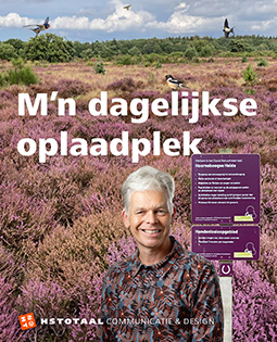 Bart Landman voor de paarse Hoorneboegse Heide in Hilversum met zwaluwen, een veldleeuwerik en een roodborsttapuit.